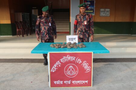 ভারত থেকে আসা ঝিনাইদহে ৪০টি বিরল প্রজাতির কচ্ছপ উদ্ধার