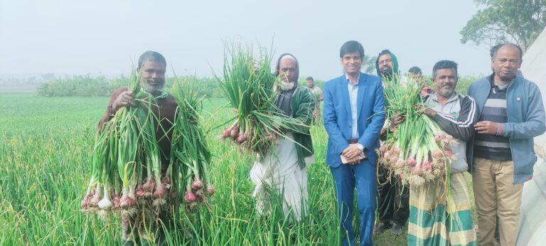 সংকট কমাতে শার্শায় ভারতীয় নাসিক-৫৩ জাতের পেঁয়াজ চাষ সংকট কমাতে শার্শায় ভারতীয় নাসিক-৫৩ জাতের পেঁয়াজ চাষ