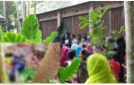 নড়াইলে যুবকের হাতে বৃদ্ধা খুন