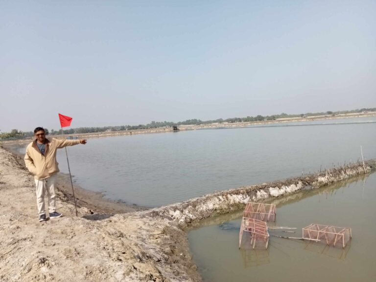 শ্যামনগরে মৎস্য ঘের দখলের অভিযোগ