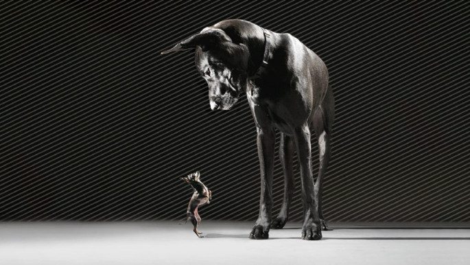 কর্মক্ষেত্রে যেভাবে বসদের নজর কাড়বেন! কর্মক্ষেত্রে যেভাবে বসদের নজর কাড়বেন!