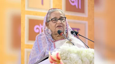 বঙ্গবন্ধু ভাষা আন্দোলনের সূচনা করেছিলেন : প্রধানমন্ত্রী