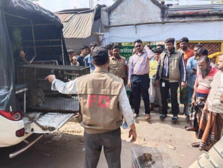 সাগরদাঁড়ি চিড়িয়াখানা থেকে ৯টি প্রাণী উদ্ধার