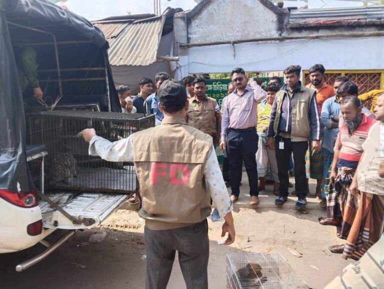 সাগরদাঁড়ি চিড়িয়াখানা থেকে ৯টি প্রাণী উদ্ধার