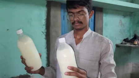 ভারতে বিক্রি হচ্ছে গাধার দুধ, দাম অবাক হওয়ার মতো