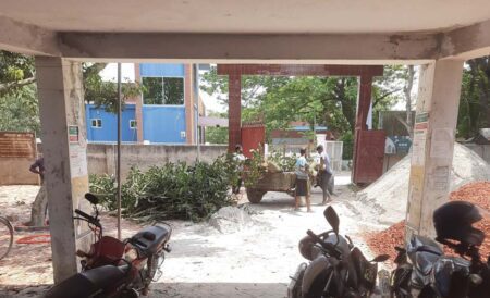 ক্ষমতাবলে ইছালী ইউনিয়ন পরিষদের গাছ কেটে নিলেন চেয়ারম্যান পুত্র