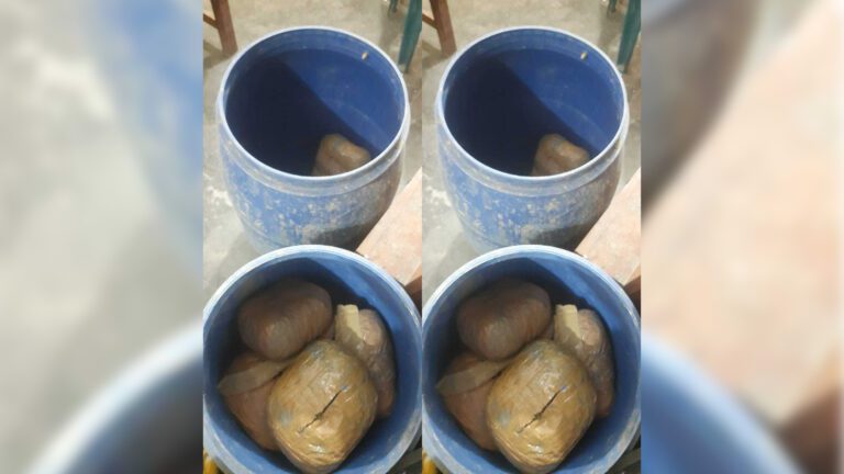 শার্শায় ৩৮ কেজি গাঁজাসহ নারী আটক