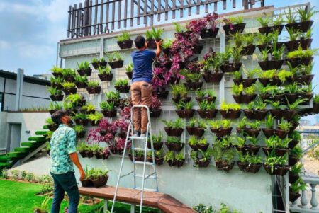 বাসার ভেতরে এক টুকরো বাগান তৈরি করে দেন তারা