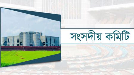 কিশোর গ্যাং দমনে কঠোর হতে বলল সংসদীয় কমিটি
