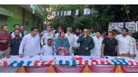শুক্রবার নওয়াপাড়া ইউনিয়নের ৫ নং ওয়ার্ড আওয়ামী লীগের উদ্যোগে বাহাদুরপুর বকুলতলা মোড়ে এ মতবিনিময় সভা অনুষ্ঠিত হয়