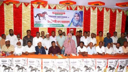 পূর্ব বারান্দিপাড়ায় ফাতেমা আনোয়ারের নির্বাচনী সমাবেশ