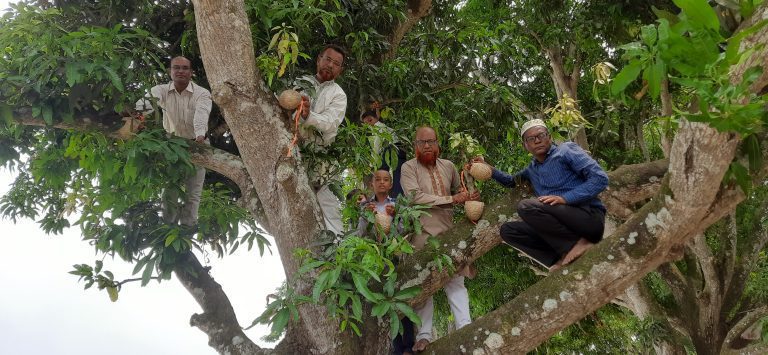 পাখির বাসা টাঙালো শিক্ষক-সুধিরা