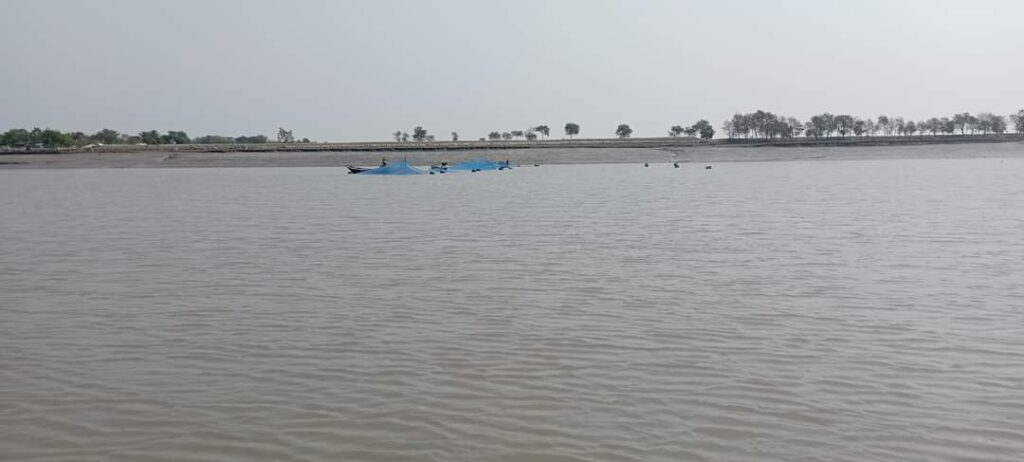 রেণু পোনা আহরণে ভাগ্য বদলাচ্ছে পাইকগাছার নারী-পুরুষের