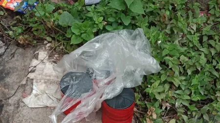 শার্শায় পলিথিনে মোড়ানো ৩ হাতবোমা উদ্ধার শার্শায় পলিথিনে মোড়ানো ৩ হাতবোমা উদ্ধার
