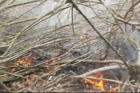 সুন্দরবনে গহিনে আগুন, ঘটনাস্থলে ফায়ার সার্ভিস