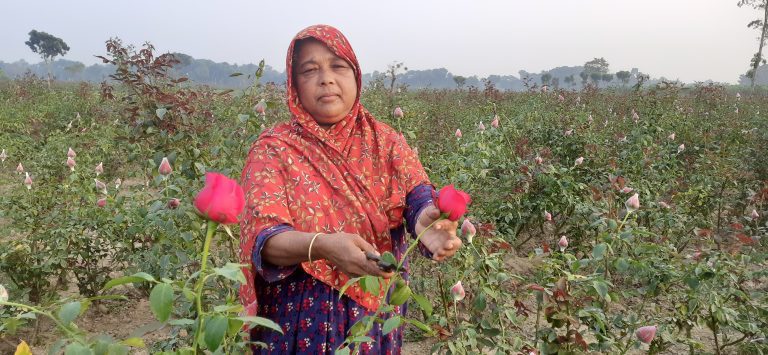 ফুলচাষে শাহানারার দারিদ্র্য জয়