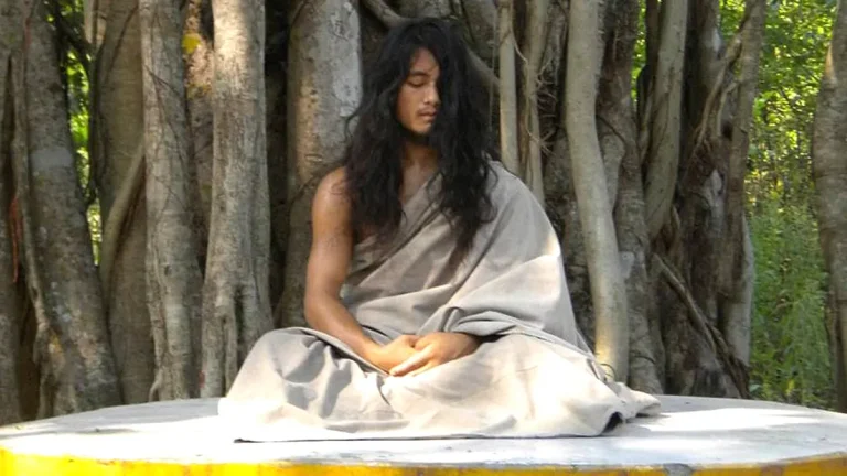 নাবালিকাকে যৌন নির্যাতনে দোষী সাব্যস্ত হলেন ‘বুদ্ধ বালক’