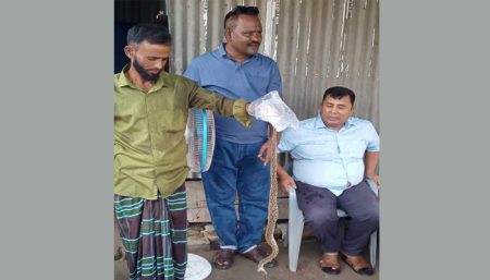 ফরিদপুরে রাসেল‘স ভাইপারের কামড়ে কৃষকের মৃত্যু