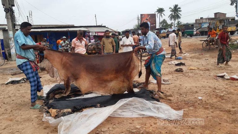 বৃহত্তম চামড়ার বাজার যশোরের রাজারহাটে নেই চামড়ার ব্যাপারীরা!