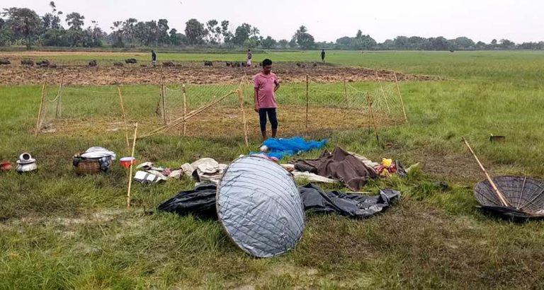 নড়াইলে শূকর চড়ানোর সময় বজ্রপাতে ৩ জনের মৃত্যু