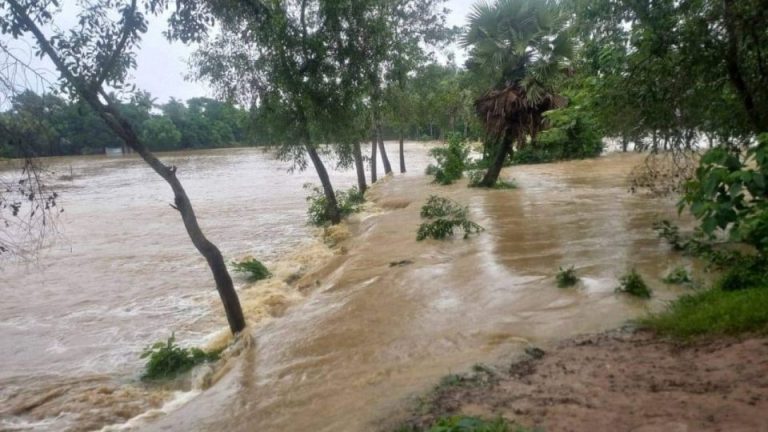 ফেনীর ফুলগাজীতে বন্যা