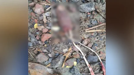 চোরের পড়ে থাকা কাটা আঙুল।