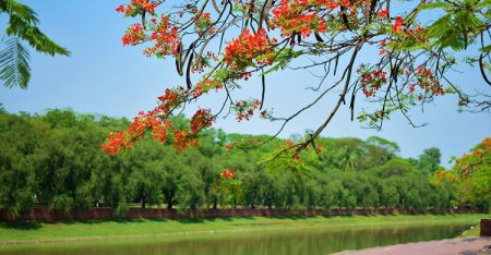 ঈদের পুরো ছুটিতে আবহাওয়া কেমন থাকবে