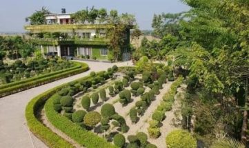 এক বাড়িতে দুষ্প্রাপ্য ৫শ’ প্রজাতির ১০ হাজার গাছ