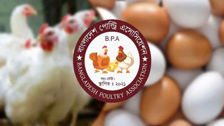 পহেলা মে থেকে সারা দেশে ডিম-মুরগির খামার বন্ধ ঘোষণা