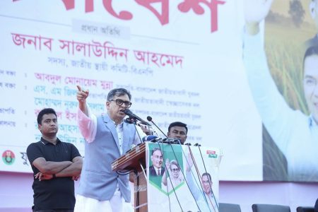 মনে করবেন না কেয়ামত পর্যন্ত অন্তর্বর্তী সরকার দেখতে চাইবো : সালাহউদ্দিন