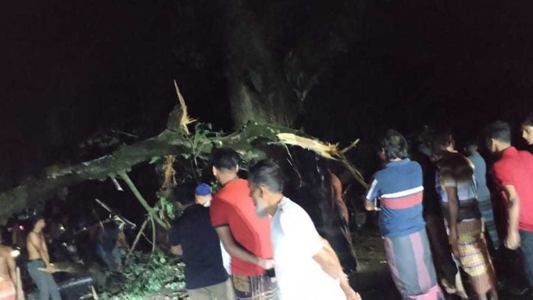 যশোর-বেনাপোল মহাসড়কে ভেঙে পড়লো শতবর্ষী গাছ, যান চলাচল ব্যহত
