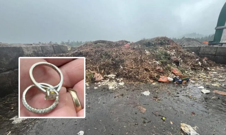 ১৮ টন বর্জ্য ঘেঁটে স্ত্রীর হারানো বিয়ের আংটি উদ্ধার করলেন স্বামী