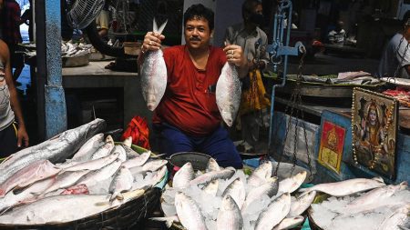 ২ হাজার টাকার ইলিশ ১৫শতে রফতানি ২ হাজার টাকার ইলিশ ১৫শতে রফতানি