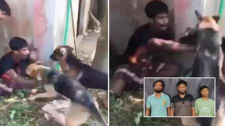 চুরির অপবাদে কুকুর লেলিয়ে দিয়ে যুবককে নির্যাতন, আটক ৩