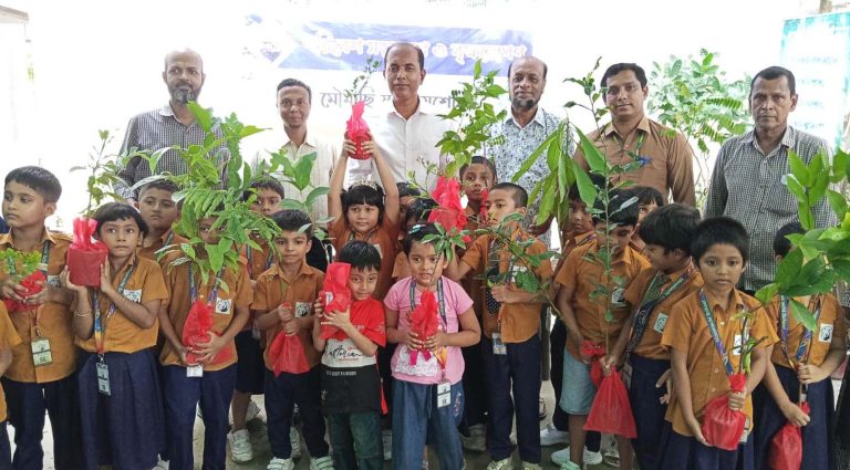 ফল গাছের চারা পেয়ে উচ্ছ্বসিত মৌমাছি স্কুলের আড়াইশ’ শিশু শিক্ষার্থী