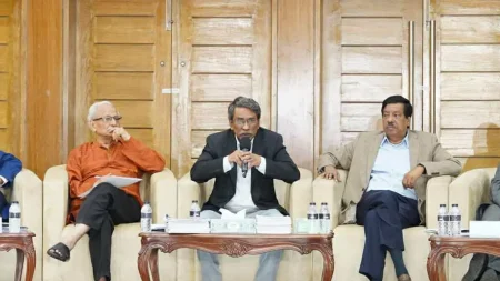 চার পদ্ধতিতে জুলাই সনদ বাস্তবায়নের পরামর্শ দিয়েছেন বিশেষজ্ঞরা: আলী রীয়াজ