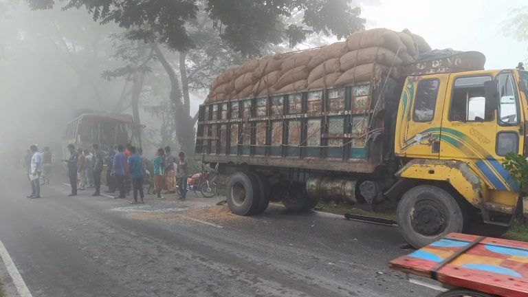 ঝিনাইদহে ধানবোঝাই ট্রাকে বাসের ধাক্কা, প্রাণ গেল হেলপারের ঝিনাইদহে ধানবোঝাই ট্রাকে বাসের ধাক্কা, প্রাণ গেল হেলপারের