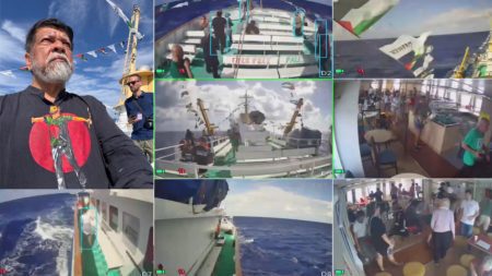 শহিদুল আলমসহ ফ্রিডম ফ্লোটিলার নৌবহর আটক