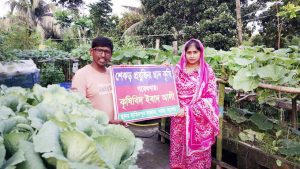 শেকড় প্রযুক্তিতে ছাদবাগান, স্বল্প খরচে দ্বিগুণ ফলন