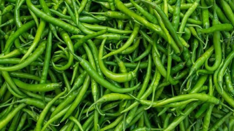 একদিনের ব্যবধানে যশোরে কাঁচামরিচে আগুন!