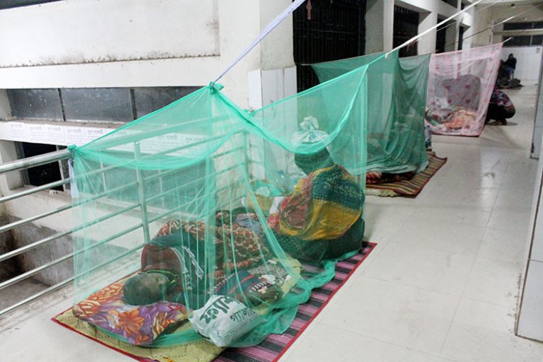 শীতে কমে যাওয়ার কথা থাকলেও যশোরে বেড়েছে ডেঙ্গুর সংক্রমণ