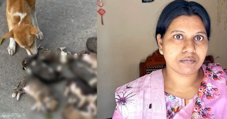 পুকুরে কুকুরছানা বস্তা বেঁধে ফেলে হত্যার অভিযোগে গ্রেফতার নিশি রহমান! পুকুরে কুকুরছানা বস্তা বেঁধে ফেলে হত্যার অভিযোগে গ্রেফতার নিশি রহমান!