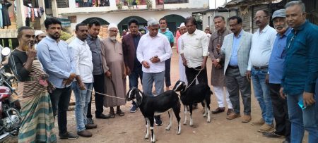 খালেদা জিয়ার সুস্থতা কামনায় জানের সাদকা হিসেবে যশোরে বিভিন্ন এতিমখানায় বিএনপির ছাগল দান খালেদা জিয়ার সুস্থতা কামনায় জানের সাদকা হিসেবে যশোরে এতিমখানায় বিএনপির ছাগল দান