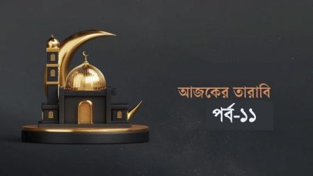 আজকের তারাবি-১১ : মৌমাছির বিস্ময়কর জীবনচক্র থেকে শিক্ষা