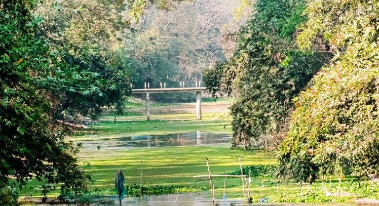 বিএনপির নির্বাচনী প্রতিশ্রুতি বাস্তবায়নে যশোরে মৃতপ্রায় ২০ খাল খননের উদ্যোগ