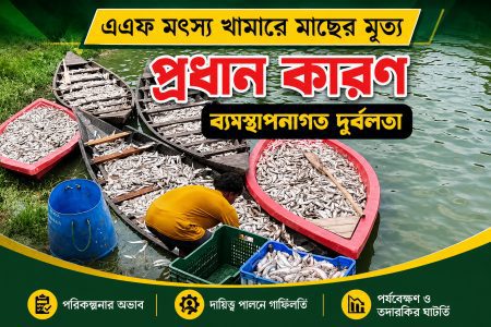 ‘বিদ্যুৎ বিভ্রাটে মাছের মৃত্যু’—তদন্তে মিলল না দাবির সত্যতা