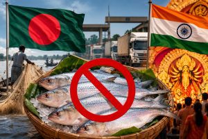 দুর্গাপূজায় ভারতে ইলিশ রপ্তানি বন্ধের ইঙ্গিত, ভারত থেকেও আমদানি বন্ধ