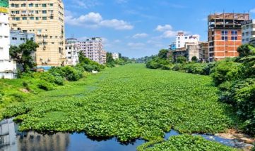 পট-শেওলা-কচুরিপানায় ‘বন্দী’ ভৈরব পট-শেওলায় দমবন্ধ ভৈরব